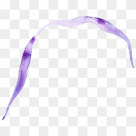 Purple Ribbon Transparent Decorative - Headband, HD Png Download - purple ribbon png