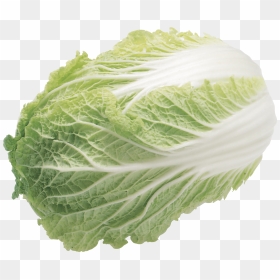 Lettuce Salad - 大 白菜, HD Png Download - lettuce png