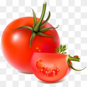 Pin By Hopeless On - Vector Free Download All, HD Png Download - tomatoes png