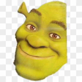 Close-up Clipart , Png Download - Close Up Shrek Face, Transparent Png - shrek face png