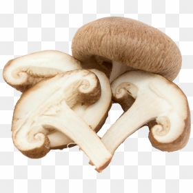Mushroom Png Background, Transparent Png - mushrooms png