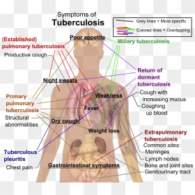 Tuberculosis Symptoms - Tb Patient, HD Png Download - action lines png