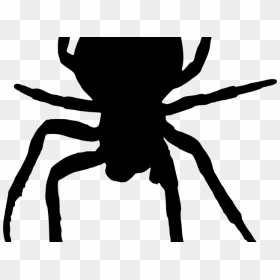 Horror Clipart Scary Spider - Spider Clipart Silhouette Png, Transparent Png - scary face png