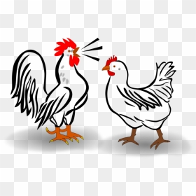 Rooster And Hen Cartoon, HD Png Download - rooster png