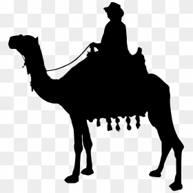 Someone Riding A Camel Silhouette, HD Png Download - camel png