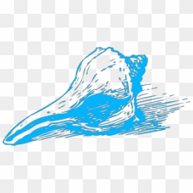 Free Seashells Svg Files, HD Png Download - shell png