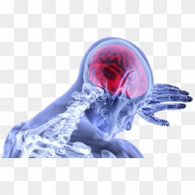 How Gluten And Grains Trigger Blood Brain Barrier Disruption - Doenças Do Sistema Nervoso, HD Png Download - blood hand png