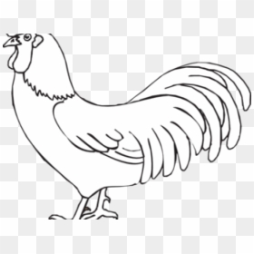 Rooster Clipart Rooster Outline - Clip Art, HD Png Download - rooster png