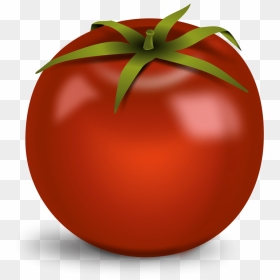 Tomato Transparent Image Png Images - Bridge Of Palanga, Png Download - tomatoes png