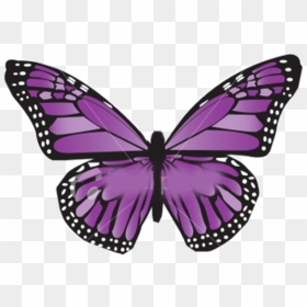 Purple Butterfly Clipart, HD Png Download - mariposas png