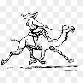 Man Riding Camel Clip Arts - Drawing Man On Camel, HD Png Download - camel png