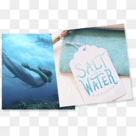 Ff Sitemocks-32 - Blue Whale, HD Png Download - ocean water png