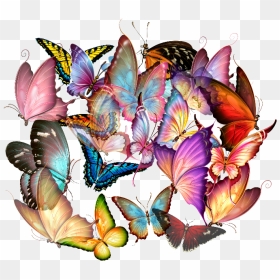 Mariposas Png Hd - Portable Network Graphics, Transparent Png - mariposas png