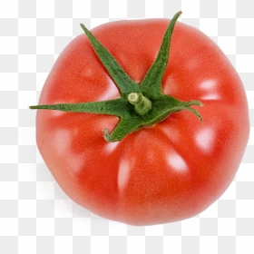Plum Tomato, HD Png Download - tomatoes png