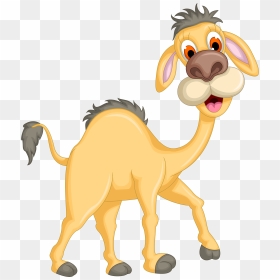 Camel Transparent Ostrich - Funny Camel Cartoon Png, Png Download - camel png