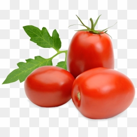 Tomato Roma , Png Download - Roma Tomato Png Free, Transparent Png - tomatoes png