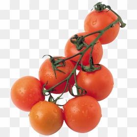 Tomatoes Png, Transparent Png - tomatoes png
