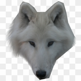 Thumb Image - Wolf Face Transparent Png, Png Download - wolf face png
