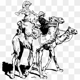 Lady On Camel Clip Arts - Ride A Camel Clipart Black And White, HD Png Download - camel png