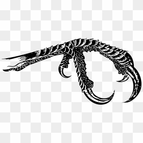 Bird Claw 2 Clip Arts - Bird Claw Png Transparent, Png Download - claw png