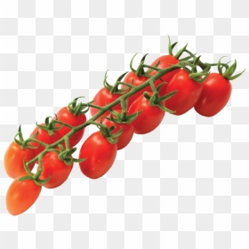 Vittoria Tomatoes Home Eng - Vittoria Tomato, HD Png Download - tomatoes png