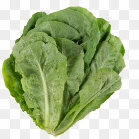 Transparent Lettuce Png - Collard Greens, Png Download - lettuce png