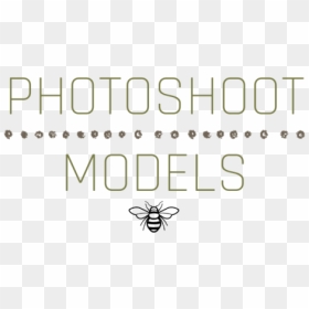 Clothing Anima - Insect, HD Png Download - people looking png
