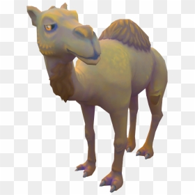 Neferti The Camel - Camel, HD Png Download - camel png