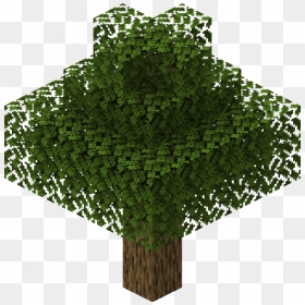 Oak Tree - Minecraft Tree, HD Png Download - jungle vines png