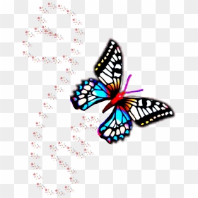 Transparent Mariposas Vector Png - Butterfly Papillon, Png Download - mariposas png