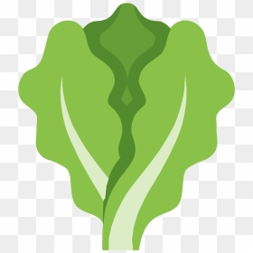 Canadian Cooking Adventures Salads - Lettuce Clipart Transparent, HD Png Download - lettuce png