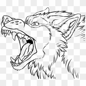 Angry Wolf Face At - Wolf Line Art, HD Png Download - wolf face png