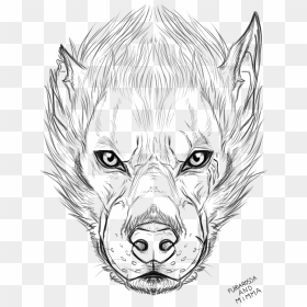 Wolves Clipart Face - Werewolf Drawings Face, HD Png Download - wolf face png