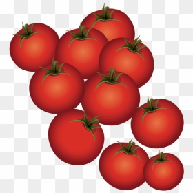 Plum Tomato Bush Tomato - Tomato, HD Png Download - tomatoes png