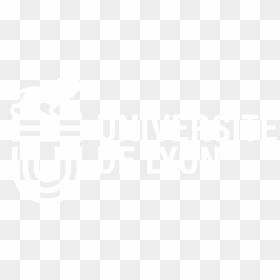 University Of Lyon - Université De Lyon Logo Blanc, HD Png Download - action lines png