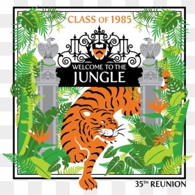 Illustration, HD Png Download - jungle vines png