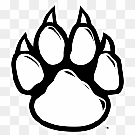 Panther Clipart Cat Claw - Tiger Paw Print Drawing, HD Png Download - claw png