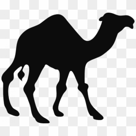 Camel Black And White Clipart, HD Png Download - camel png