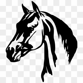 Horse Head Png Clipart - Horse Head Black And White, Transparent Png - horse head png