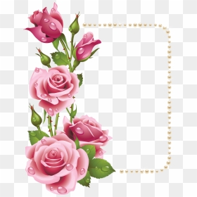 Transparent Pink Rose Border Png - Rose Frame, Png Download - rose border png