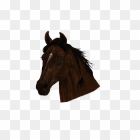 Sorrel, HD Png Download - horse head png