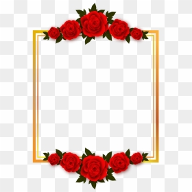 Transparent Rose Border Clipart - Flower Frame Png Hd, Png Download - rose border png