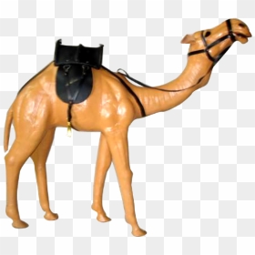 Chania - Camel Toys Png, Transparent Png - camel png