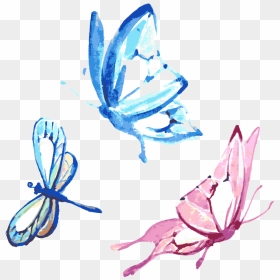 Black And White Library Feather Clipart Butterfly - Butterfly Water Color Vector, HD Png Download - mariposas png