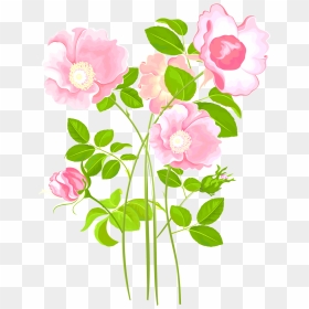 Transparent Garden Plants Png - Garden Roses, Png Download - vision png