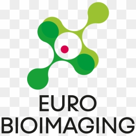 Logo Eubi - Graphic Design, HD Png Download - green light png