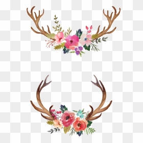 Watercolor Antlers With Flowers, HD Png Download - antlers png