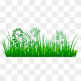 Yükle Grass Png Images - Portable Network Graphics, Transparent Png - grass.png