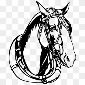12 Horse Head Black And White Vectors [eps File] - Horse Vector Black And White, HD Png Download - horse head png