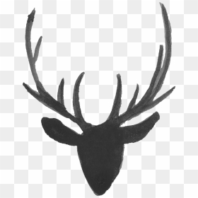 Reindeer Antler Moose Portable Network Graphics - Deer Silhouette Head Background, HD Png Download - antlers png